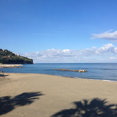 Malandrino